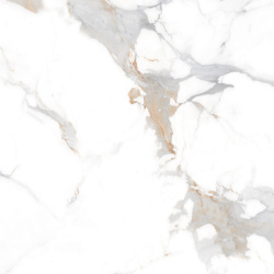 w5a999ihaj011ky3piq8pnfr2enivdwq