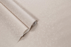 CAT_MACRO_PHOTOcI_PL72652-25_(5)