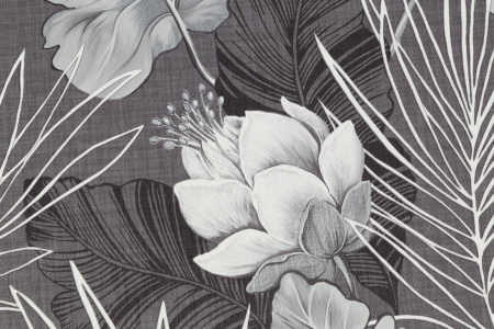 CAT_MACRO_PHOTOxI_HC72241-44_(3)