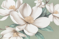 CAT_MACRO_PHOTOeI_PL72535-71_(2)