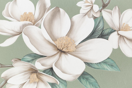 CAT_MACRO_PHOTOeI_PL72535-71_(2)