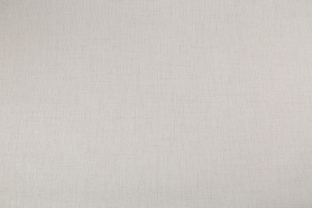 CAT_MACRO_PHOTOdI_HC31213-28_(1)