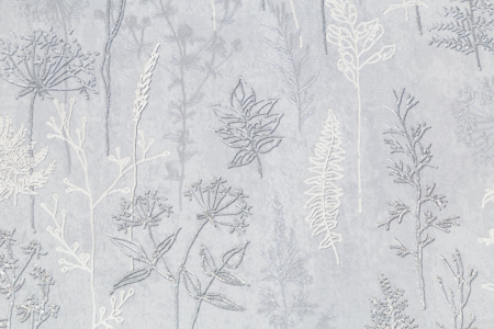 CAT_MACRO_PHOTOwI_PL72354-41_(3)