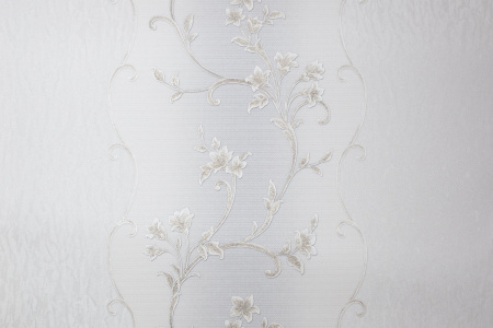 CAT_MACRO_PHOTOvI_HC31235-24_(1)