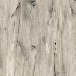 tmp73f96cda6b9f6827a5e840638153a603