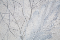 CAT_MACRO_PHOTOoI_HC72437-46_(3)