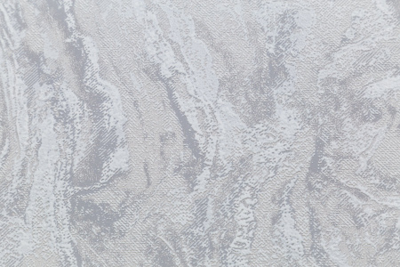 CAT_MACRO_PHOTOcI_HC11064-41_(2)