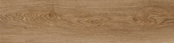 10117361-7e8c-11f0-bb98-000c298441c7