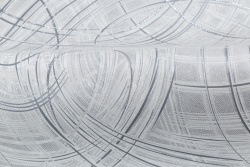 CAT_MACRO_PHOTOdI_PL81592-41_(4)