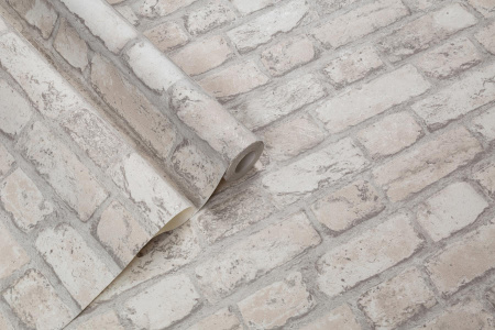 CAT_MACRO_PHOTObI_HC72584-12_(5)