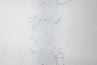 PHOTOsInt_HC31235-14