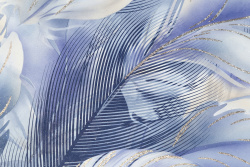 CAT_MACRO_PHOTOiI_HC72172-62_(3)