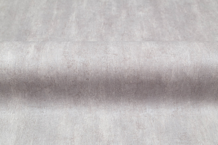 CAT_MACRO_PHOTOmi_VV71921-44_(4)