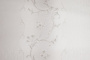 PHOTOkInt_HC31235-21
