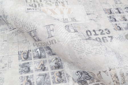 CAT_MACRO_PHOTOqi_VV71920-24_(5)