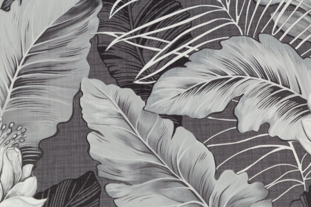 CAT_MACRO_PHOTOyI_HC72241-44_(4)