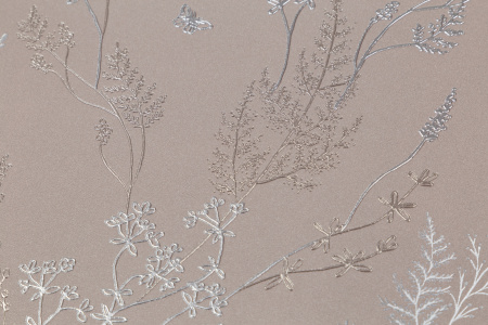 CAT_MACRO_PHOTOiI_HC72414-82_(3)