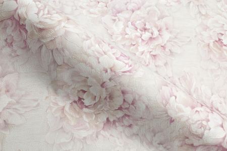 CAT_MACRO_PHOTOeImg_PL71981-22_(5)