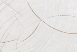 CAT_MACRO_PHOTOzI_PL81592-12_(2)