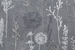 CAT_MACRO_PHOTOtI_PL72354-44_(2)