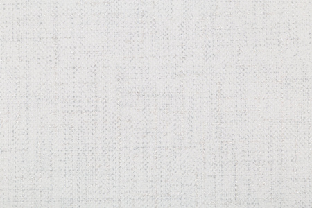 CAT_MACRO_PHOTOvI_HC31213-14_(2)