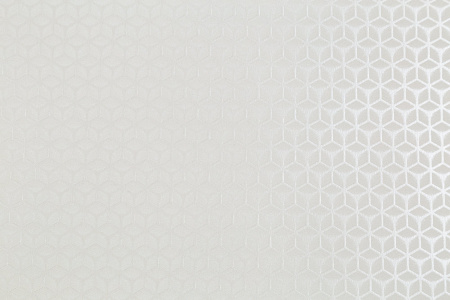 CAT_MACRO_PHOTOkI_HC72364-11_(2)