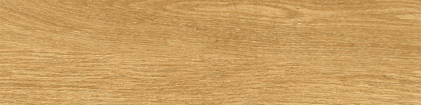 e450e3eb-bf45-11ed-bbb1-00505693d103