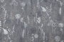 PHOTOdInt_PL72354-44