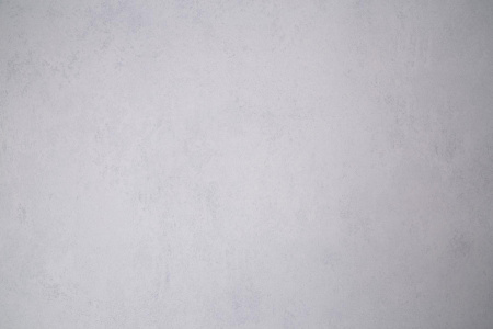 CAT_MACRO_PHOTOhi_HC72605-12_(1)