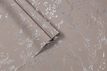 CAT_MACRO_PHOTOiI_HC72414-82_(5)