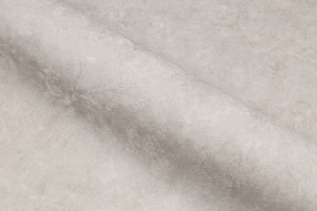 CAT_MACRO_PHOTOeI_HC72173-42_(6)