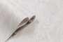 PHOTOuInt_HC11064-12