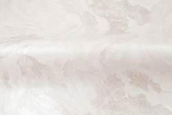 CAT_MACRO_PHOTOvI_HC72427-21_(4)