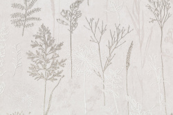 CAT_MACRO_PHOTOlI_PL72354-21_(2)