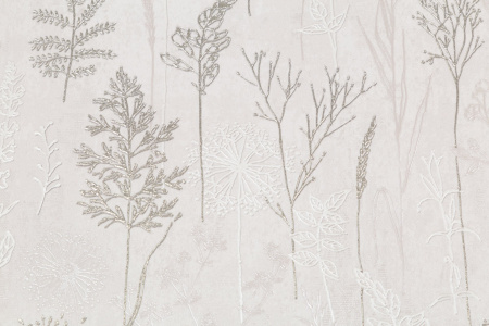 CAT_MACRO_PHOTOlI_PL72354-21_(2)