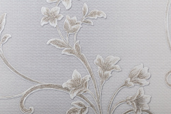 CAT_MACRO_PHOTOgI_HC31235-24_(3)