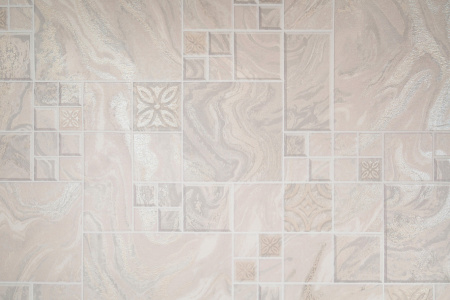 CAT_MACRO_PHOTOqI_HC11047-21_(1)