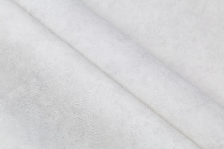 CAT_MACRO_PHOTOpI_HC72173-41_(9)