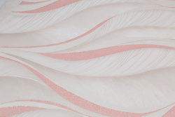 CAT_MACRO_PHOTOpI_PL72358-12_(2)