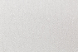 CAT_MACRO_PHOTOlI_HC31236-21_(2)