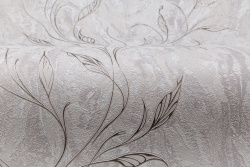 CAT_MACRO_PHOTOwI_HC11063-28_(4)