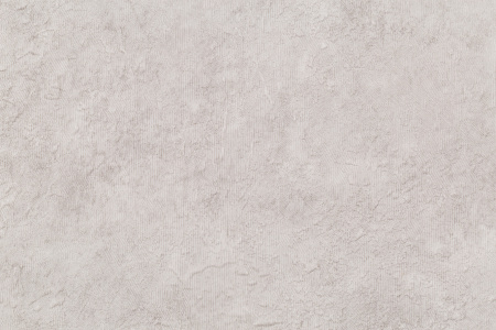 CAT_MACRO_PHOTOuI_HC72173-42_(3)